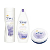 Dove, limitowana edycja Winter Care, balsam do ciała (Cena: 18 zł, 250 ml), żel pod prysznic (Cena: 10 zł, 250 ml), krem nawilżający (Cena: 6 zł, 75 ml)